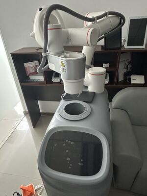 SunPhoton- Dy-Series Moxibustion & Massage Wellness Robots