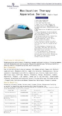 Appareil de moxibustion professionnel 300-1200W écran tactile intelligent